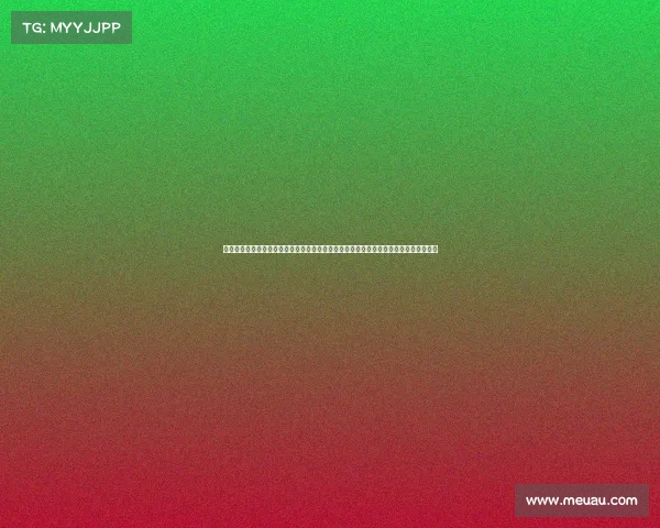 石家庄体育赛事女篮赛程、石家庄体育赛事激情绽放全民健身热潮涌动城市活力无限焕发